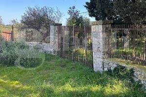 Terreno Agricolo Ostuni [Cod. rif 3299889VCG]