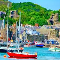 Intérprete de Italiano y Inglés