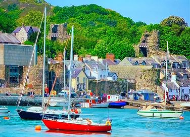 Intérprete de Italiano y Inglés