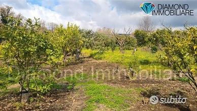Terreno agricolo 14.000 mq a giarre