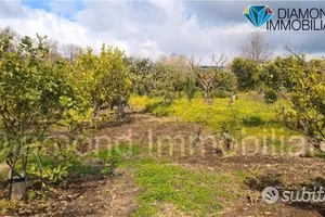 Terreno agricolo 14.000 mq a giarre