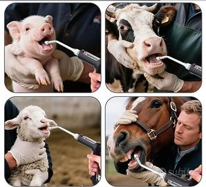 Erogatore per somministrazione animale, con tanica