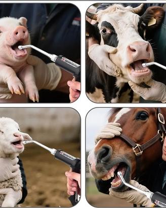 Erogatore per somministrazione animale, con tanica