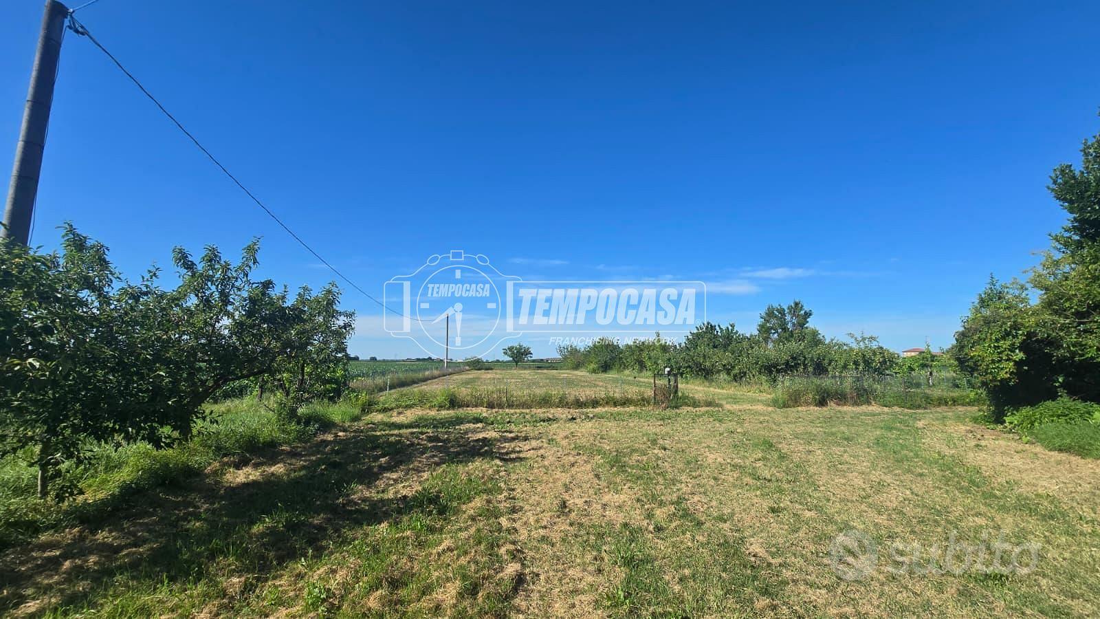 RUSTICO CON TERRENO AGRICOLO - Vista 5