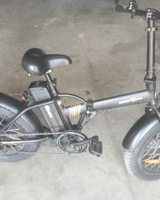 Bicicletta elettrica