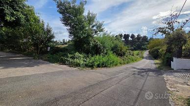 Terreno di 7000 m² a Palestrina
