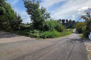 Terreno di 7000 m² a Palestrina
