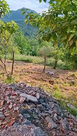 Sant'olcese appartamento indipendente da subito