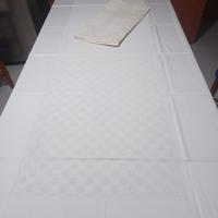 Tovaglia di fiandra di cotone con i suoi 12 tovagl