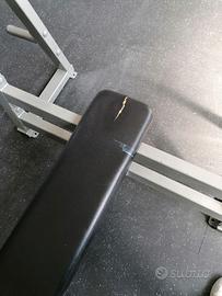 Panca piana professionale body building