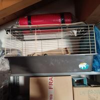 Gabbia per conoglio/cavia