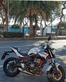 Kawasaki Z 650 - 2023