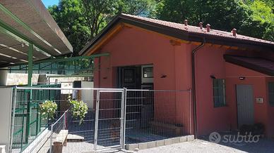 Struttura adibita a toelettatura e asilo per cani