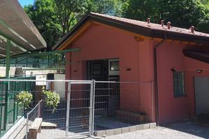 Struttura adibita a toelettatura e asilo per cani