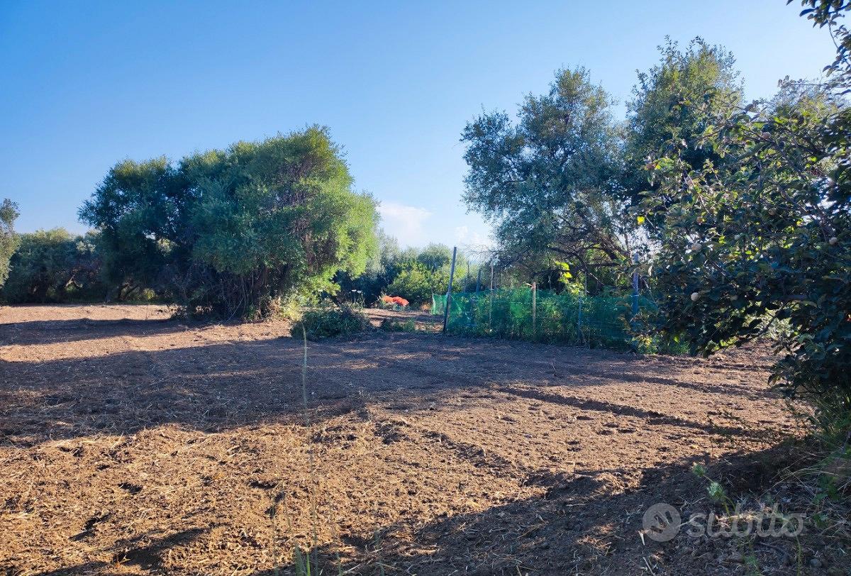 Terreno agricolo 1800mq. Barcellona Pozzo di Gotto - Vista 4