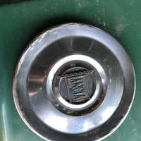 Borchialancia fulvia