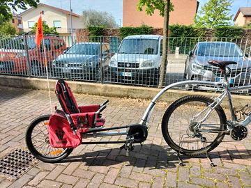 Rimorchio bici weehoo per bambini