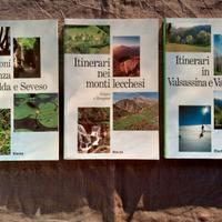 Lotto 2 libri Electa itinerari Lombardia