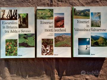 Lotto 2 libri Electa itinerari Lombardia