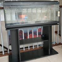 Acquario 120 Litri