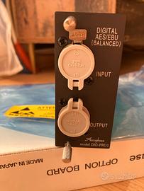 Accuphase DIO-PRO 1