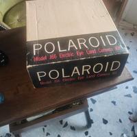 polaroid