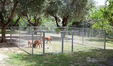 Campo addestramento