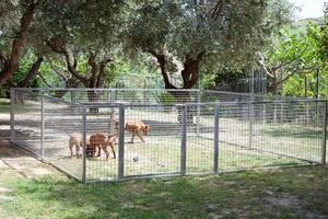 Campo addestramento