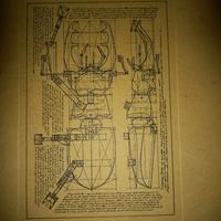 Litografia quadro Vittorio Porro
