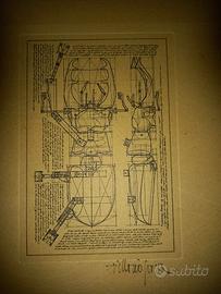 Litografia quadro Vittorio Porro