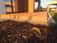 Immagine 12
