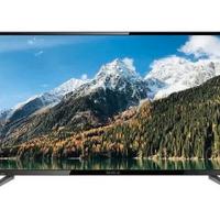 BEA - TV LED 49″