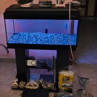 Acquario Pet Company 80 L con mobile 