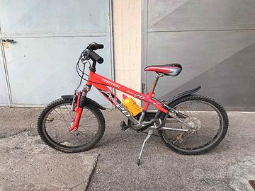 bicicletta