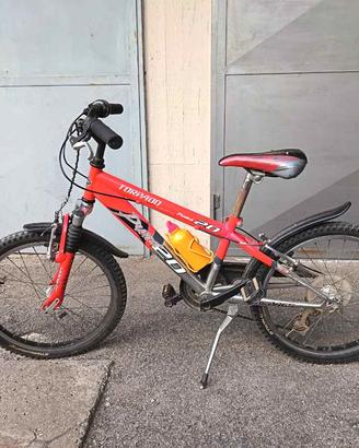 bicicletta