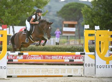 Pony Sportiva