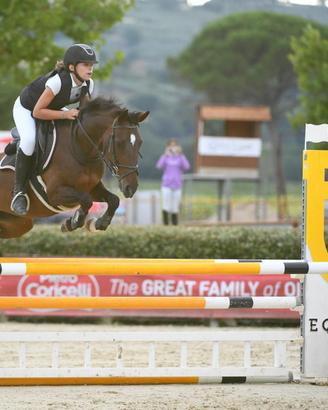 Pony Sportiva
