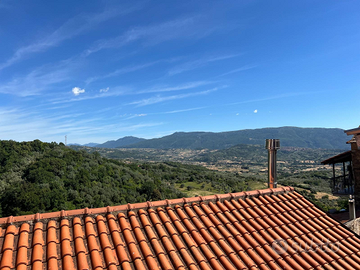 Vendita di appartamento