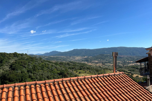 Vendita di appartamento