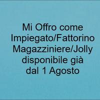 Jolly: Impiegato/fattorino/magazziniere/tecnico