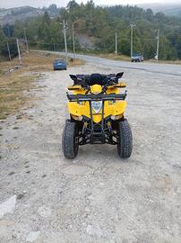 Quad kymco