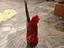 Immagine 3