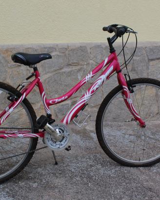 bicicletta MTB