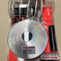 Variatore multivar piaggio 400-500