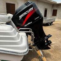 Ranieri 5.80 Mercury 115 4t