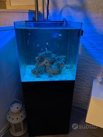 Acquario marino 120lt + sump+acessori