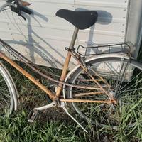 Bicicletta perfettamente funzionante 