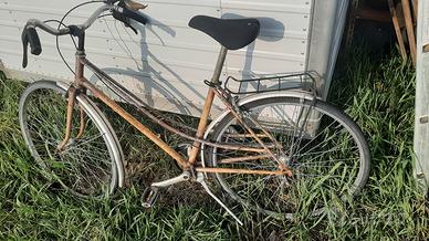 Bicicletta perfettamente funzionante 