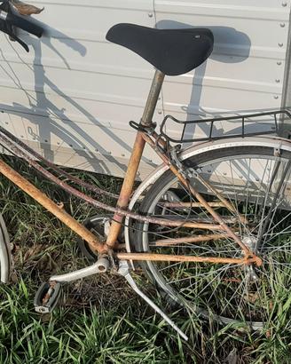 Bicicletta perfettamente funzionante 