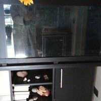 Acquario 200 litri